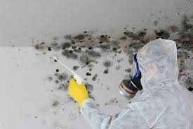 Trusted Lewisville, TX Mold Removal Experts